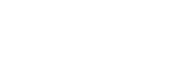 Logo Alelive Networks